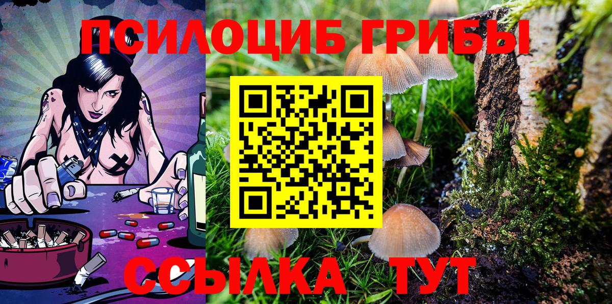 Псилоцибиновые грибы MAGIC MUSHROOMS  Вход с VPN  Куйбышев 